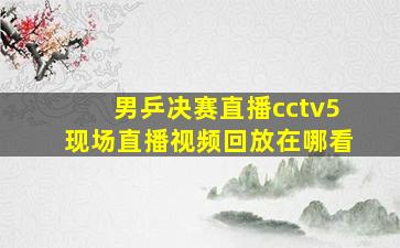 男乒决赛直播cctv5现场直播视频回放在哪看