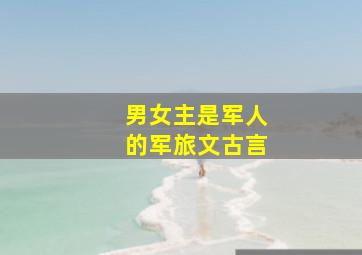 男女主是军人的军旅文古言