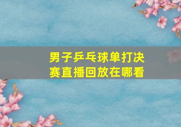 男子乒乓球单打决赛直播回放在哪看