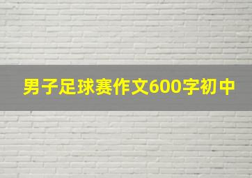 男子足球赛作文600字初中