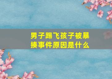 男子踢飞孩子被暴揍事件原因是什么