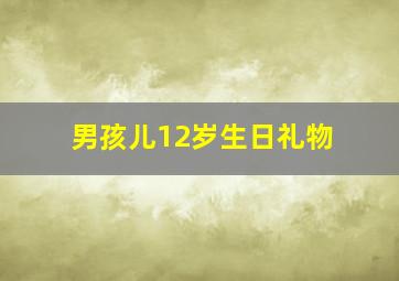 男孩儿12岁生日礼物