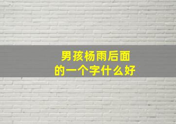 男孩杨雨后面的一个字什么好