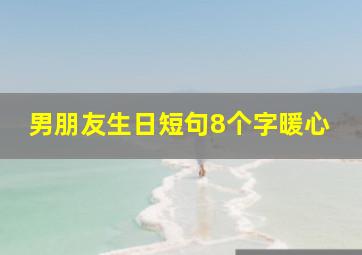 男朋友生日短句8个字暖心