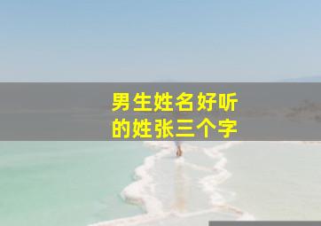 男生姓名好听的姓张三个字