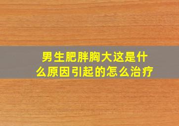 男生肥胖胸大这是什么原因引起的怎么治疗