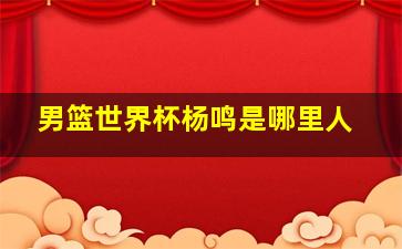 男篮世界杯杨鸣是哪里人