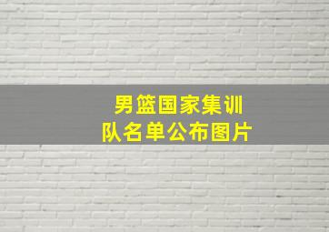 男篮国家集训队名单公布图片