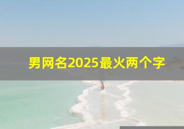 男网名2025最火两个字