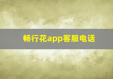 畅行花app客服电话