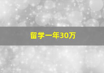 留学一年30万