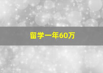 留学一年60万