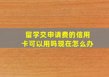 留学交申请费的信用卡可以用吗现在怎么办