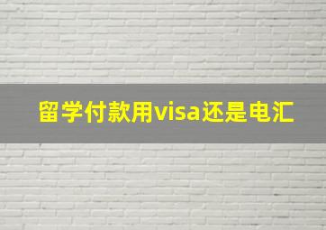 留学付款用visa还是电汇