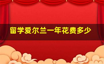 留学爱尔兰一年花费多少