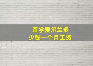 留学爱尔兰多少钱一个月工资