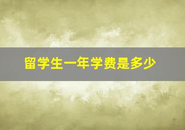 留学生一年学费是多少