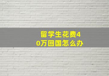 留学生花费40万回国怎么办