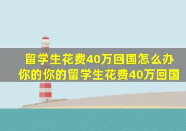 留学生花费40万回国怎么办你的你的留学生花费40万回国