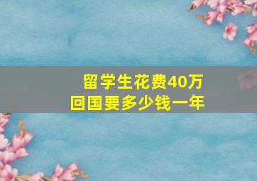 留学生花费40万回国要多少钱一年