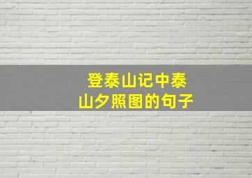 登泰山记中泰山夕照图的句子