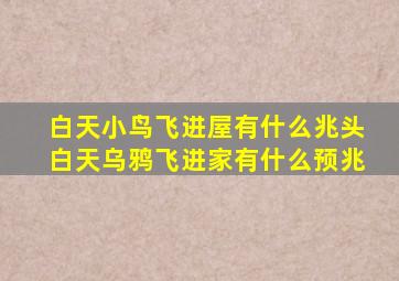 白天小鸟飞进屋有什么兆头白天乌鸦飞进家有什么预兆