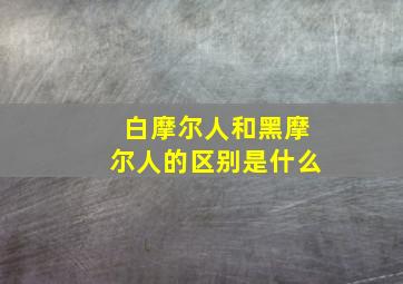 白摩尔人和黑摩尔人的区别是什么