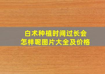 白术种植时间过长会怎样呢图片大全及价格