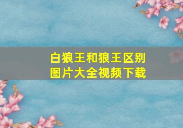 白狼王和狼王区别图片大全视频下载