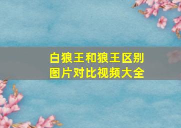 白狼王和狼王区别图片对比视频大全