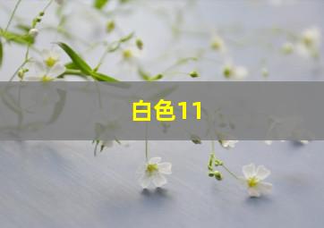 白色11