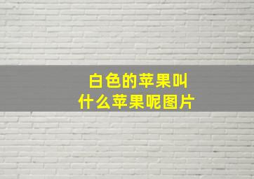 白色的苹果叫什么苹果呢图片