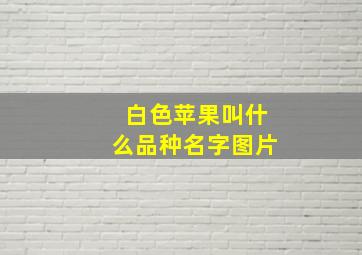 白色苹果叫什么品种名字图片