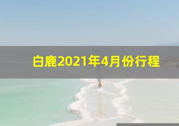 白鹿2021年4月份行程