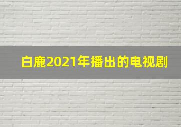 白鹿2021年播出的电视剧