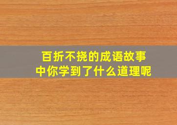 百折不挠的成语故事中你学到了什么道理呢