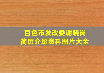 百色市发改委谢晓岗简历介绍资料图片大全