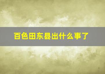 百色田东县出什么事了