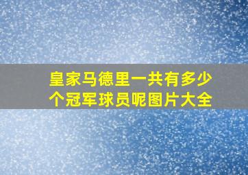 皇家马德里一共有多少个冠军球员呢图片大全