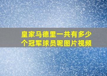 皇家马德里一共有多少个冠军球员呢图片视频