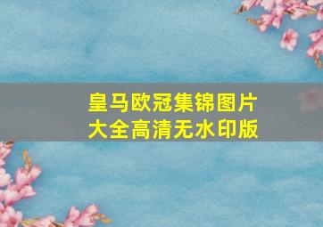 皇马欧冠集锦图片大全高清无水印版