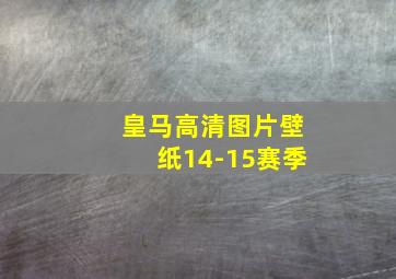 皇马高清图片壁纸14-15赛季