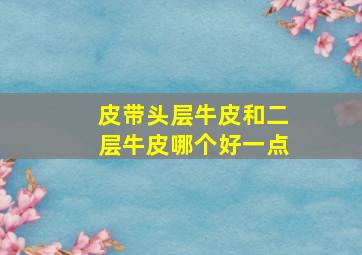 皮带头层牛皮和二层牛皮哪个好一点