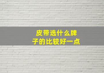 皮带选什么牌子的比较好一点