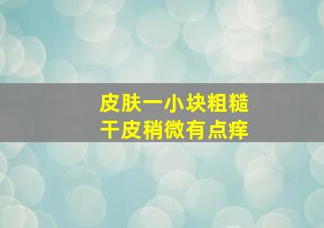 皮肤一小块粗糙干皮稍微有点痒