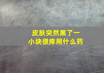 皮肤突然黑了一小块很痒用什么药