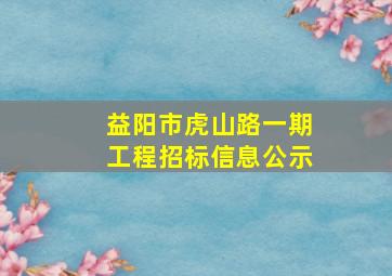 益阳市虎山路一期工程招标信息公示