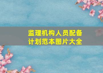 监理机构人员配备计划范本图片大全