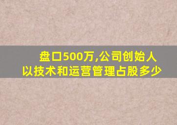 盘口500万,公司创始人以技术和运营管理占股多少