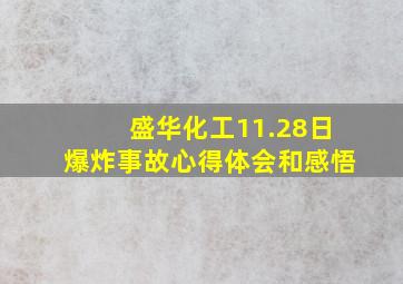 盛华化工11.28日爆炸事故心得体会和感悟